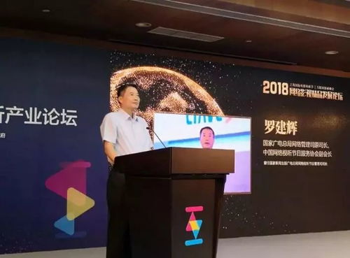 網(wǎng)絡(luò)影視精品化 鑄就視聽新紀(jì)元，引領(lǐng)影視制作新浪潮